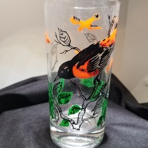 Oriole Federal Glass Tumbler